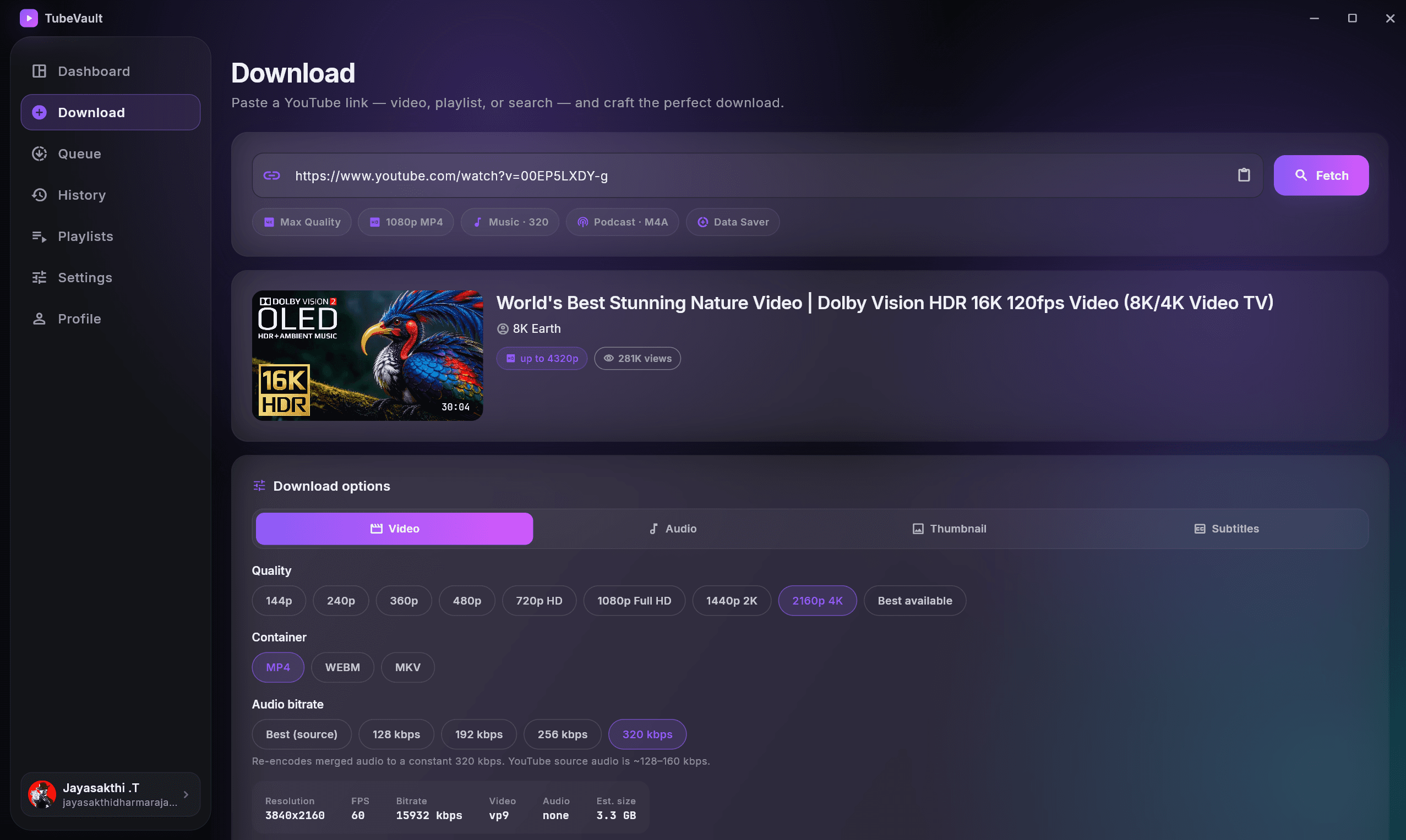 TubeVault — download queue
